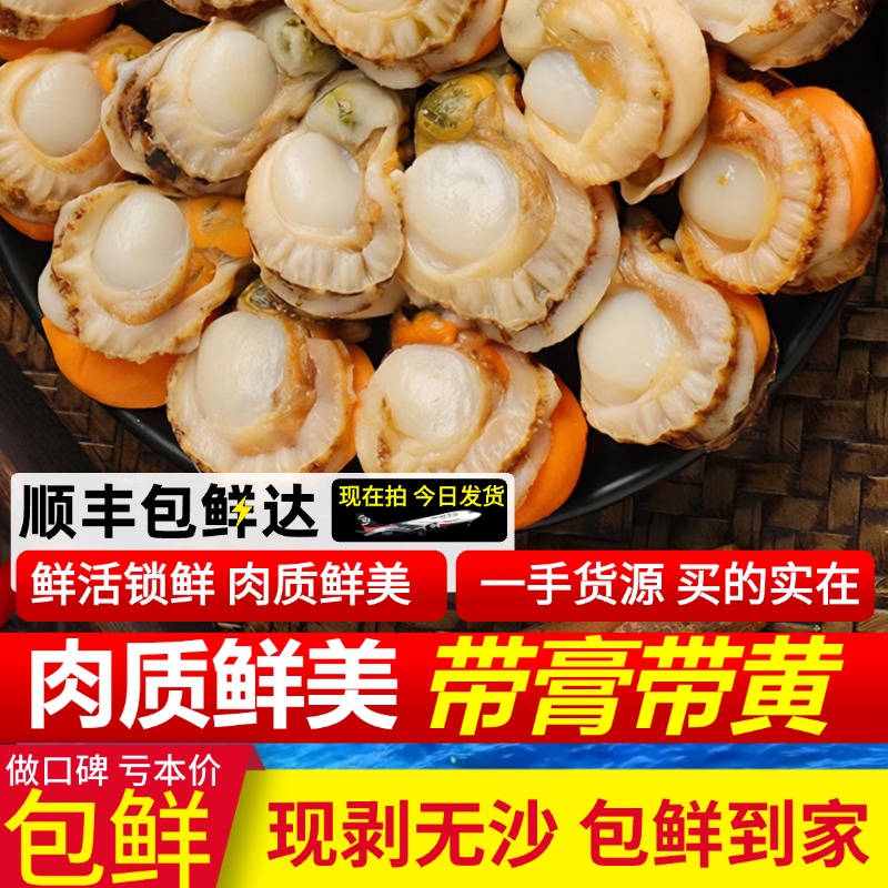 扇贝肉新鲜大号带黄鲜活海鲜冷冻水产中大号蒜蓉粉丝扇贝北城红贝：吃货们的新宠，解锁海鲜新滋味！