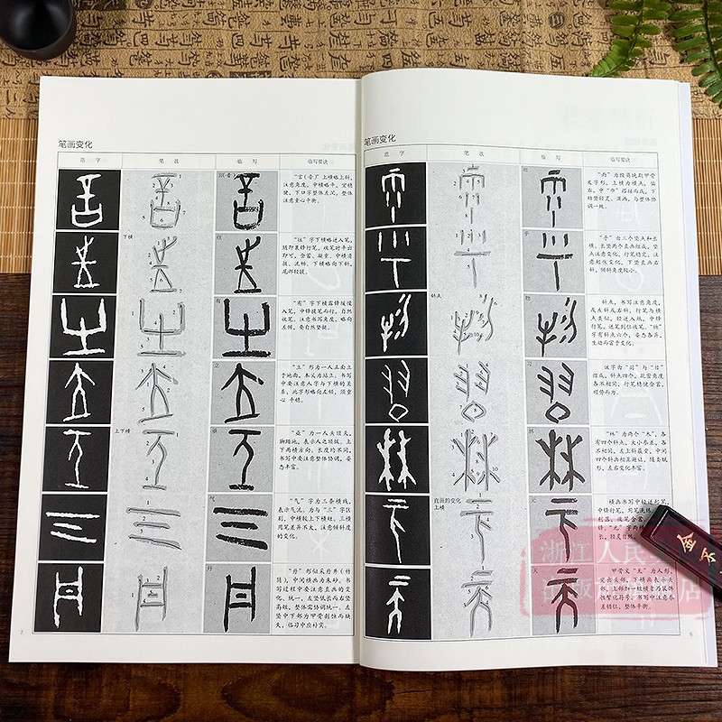 甲骨文的秘密，五年级小学生也能解开的历史密码!
