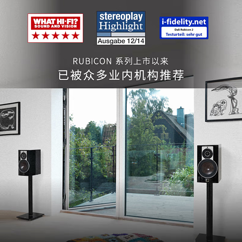 DALI/达尼 RUBICON 2书架箱：丹麦原装正品，音质新境界，音乐发烧友必入神器