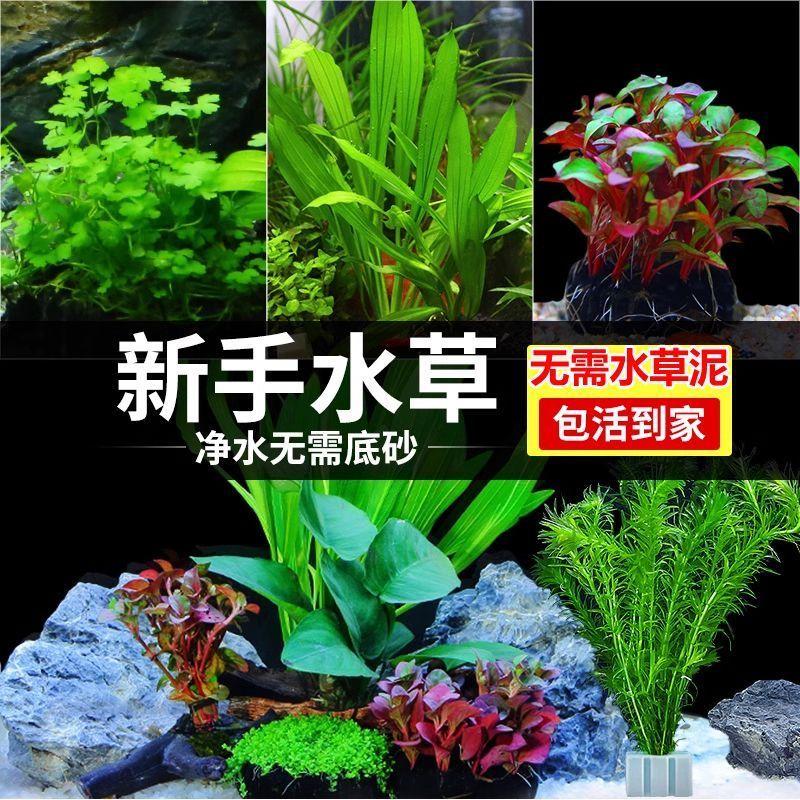 闲鱼上卖货流程：新手必看！教你从0到1轻松上手