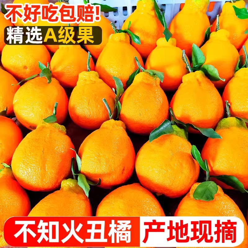 四川耙耙柑：甜蜜的冬季限定，180g+单果，约900g的丰收喜悦！