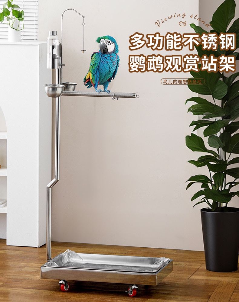 新款304无磁不锈钢鹦鹉站架：灰机金刚亚马逊葵花等宠物鸟的完美栖息地！