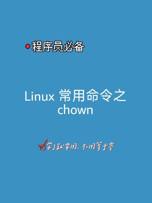 linux修改文件夹所属用户,linux修改文件夹所属用户和组