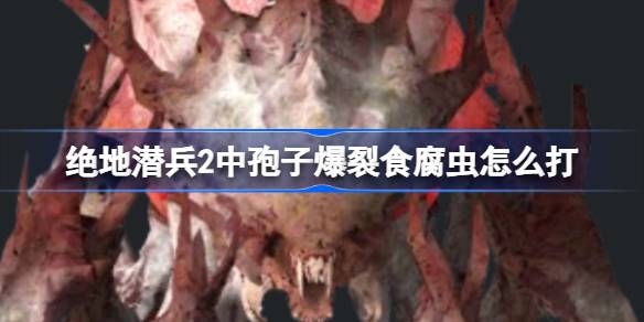 绝地潜兵2孢子爆裂食腐虫怎么打 绝地潜兵2应对孢子爆裂食腐虫方法