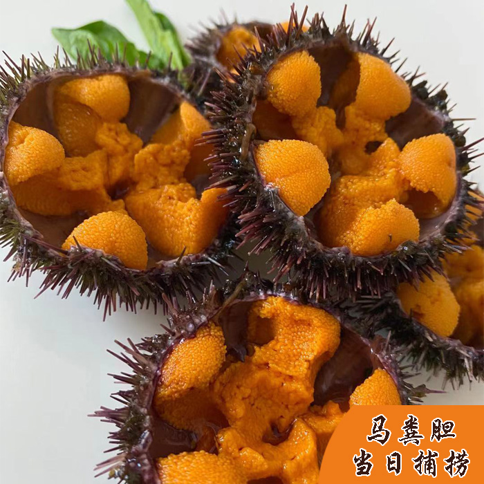 大连马粪黄金海胆滑，让你的火锅夜嗨爆全场