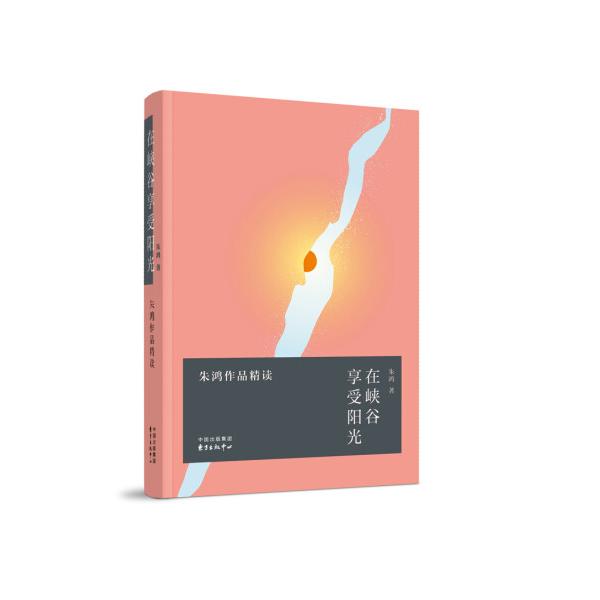 防晒阳台垫网大揭秘：让你的宠物安全无忧，享受阳光！