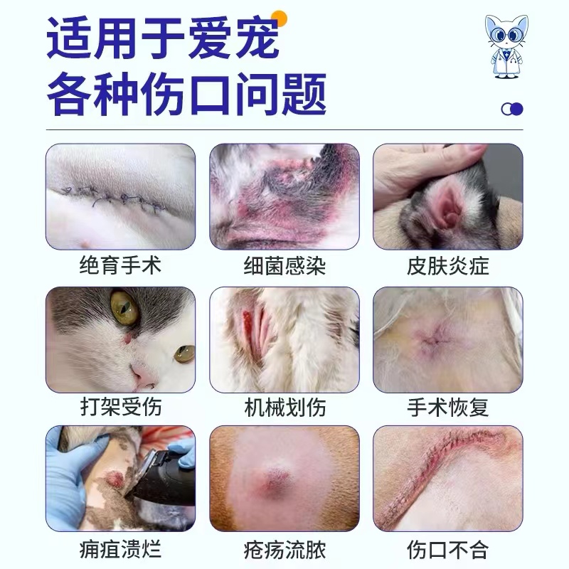 防腐生肌散：宠物狗狗猫咪外伤急救神器，止血消炎一网打尽！