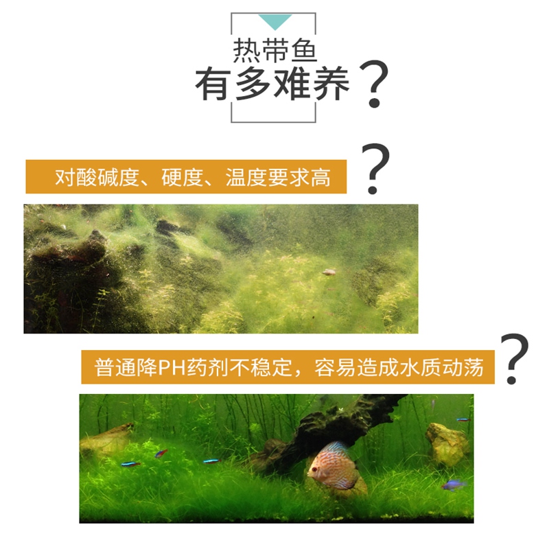水族箱的秘密武器：如何使用PH调节剂掌控酸碱度，让你的鱼儿乐开花？