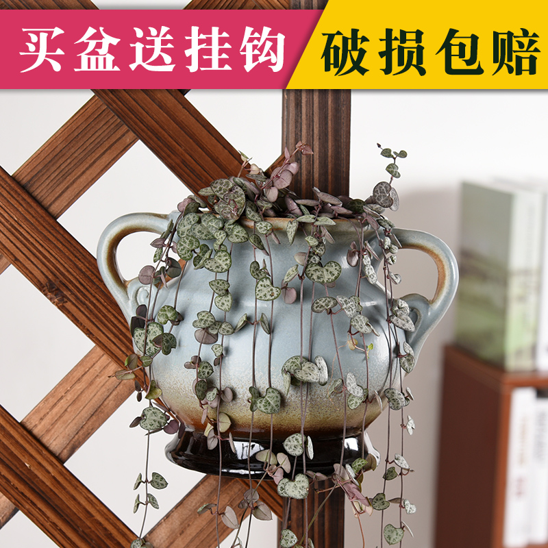 阳台空花盆变身花园秘籍！垂吊矮牵牛花，让你的阳台瞬间美爆！