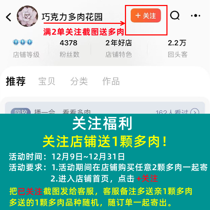 抖店新品上线怎么快速起量？新手必看的运营中心实操指南！