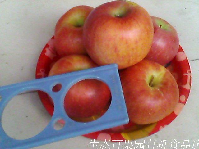 高级婴幼儿食用精选红香蕉苹果甜面粉沙营养5斤60元包邮老品红星，宝宝辅食新选择！