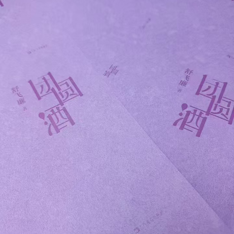 团圆酒：舒飞廉笔下的中国现当代文学盛宴，新华文轩正版推荐！