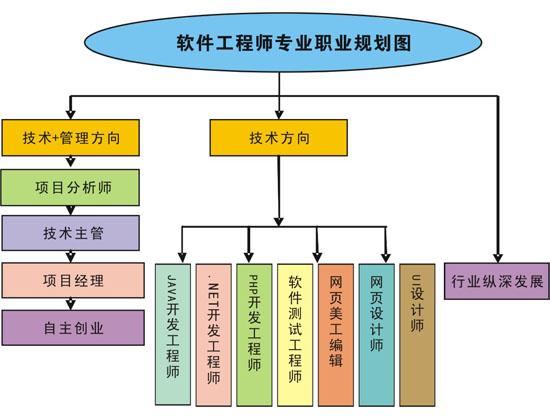 软件开发工程师的专业,构建数字世界的灵魂工程师