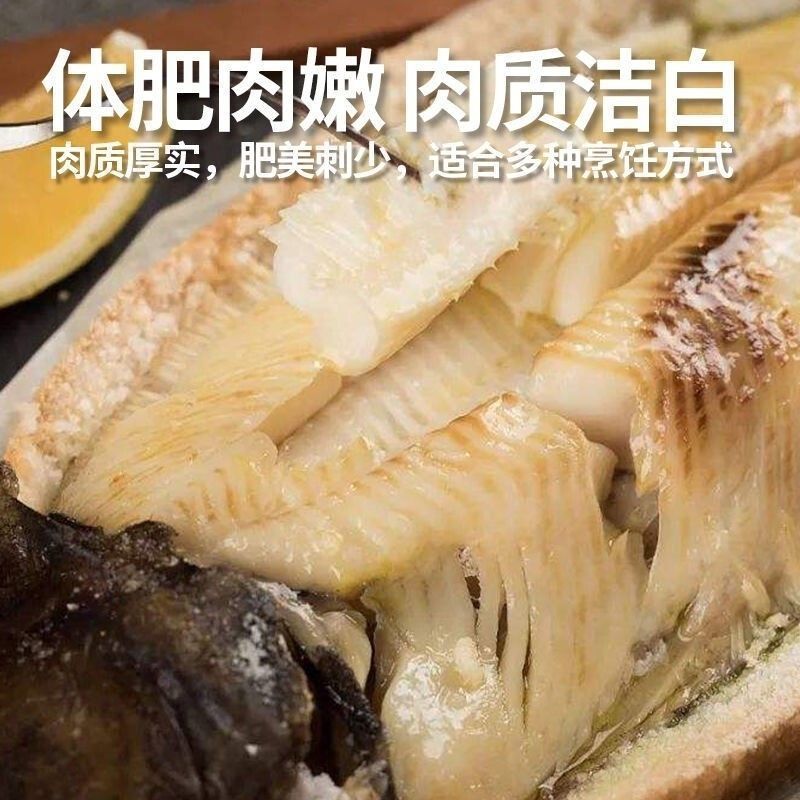 真鲽鱼 vs 格陵兰比目鱼：深海美味大对决，谁才是真正的王者？