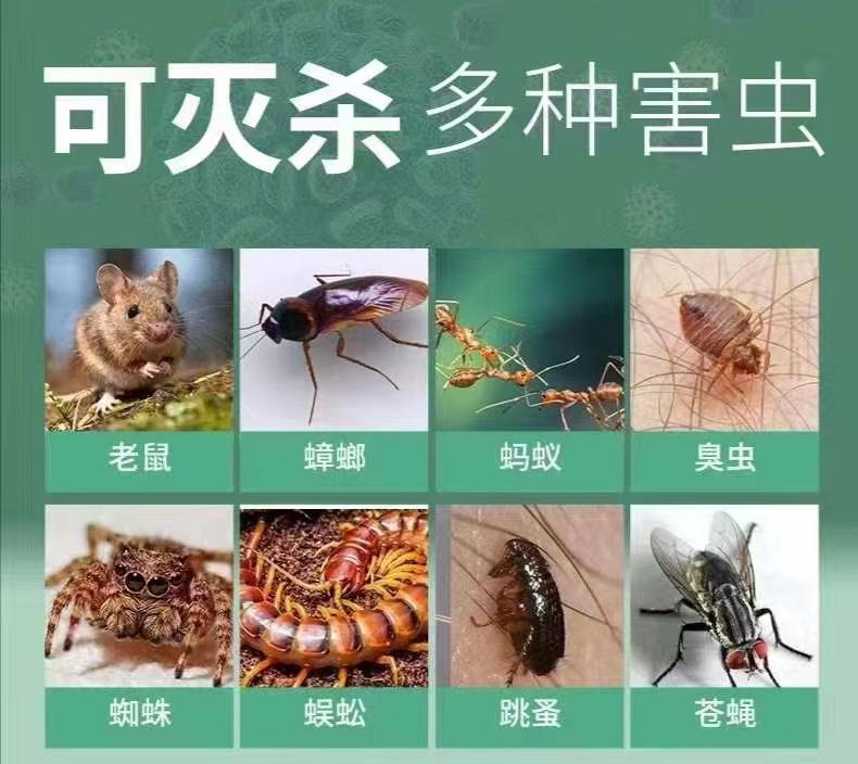 厦门除虫上门消毒灭鼠灭蟑螂：专业除四害，守护您的健康生活！