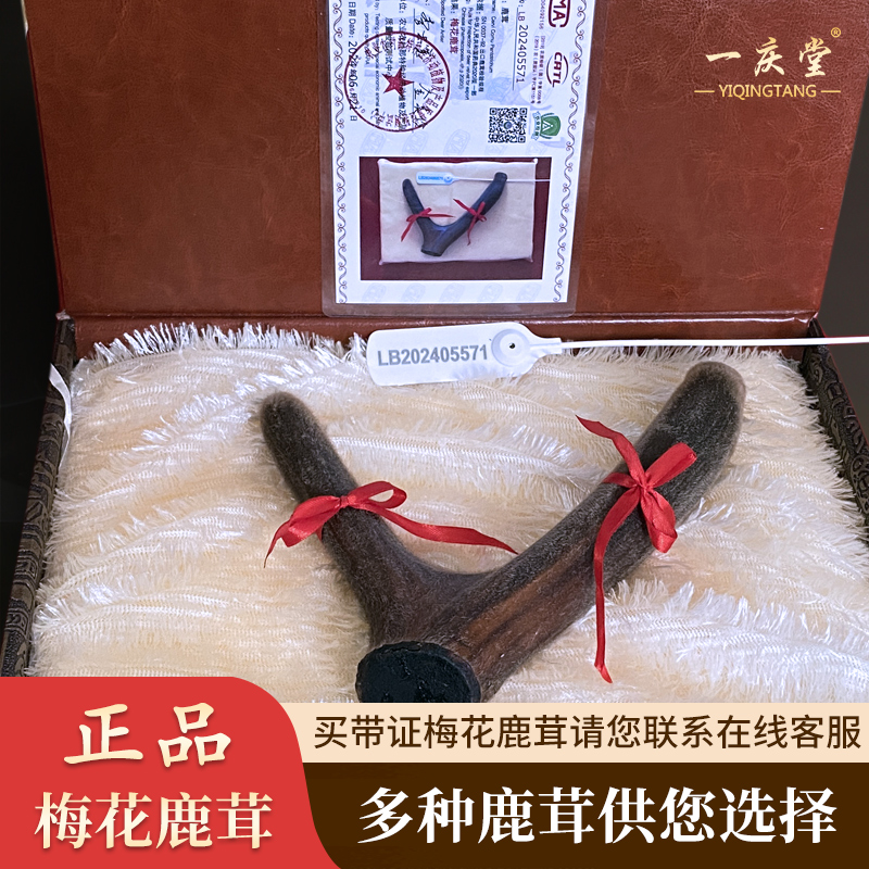 新鲜鹿茸片100克，正宗带血中段切片，源头工厂直供，滋补养生新选择！