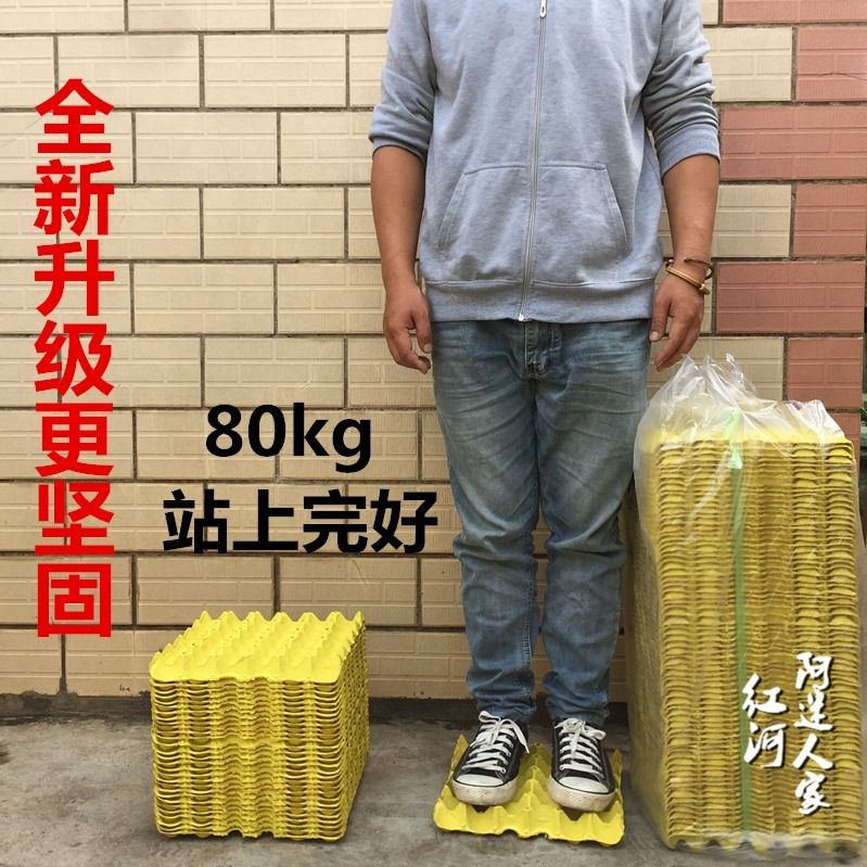 全新30枚鸡蛋托：环保养鸡场必备，DIY手工创意无限！