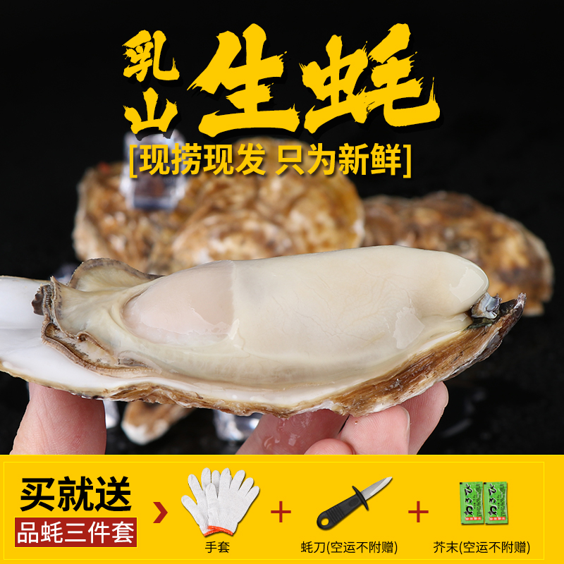 【蜜蜂欢乐社】生蚝鲜活5XL5斤整箱新鲜cb：海洋的鲜美，一口入魂！