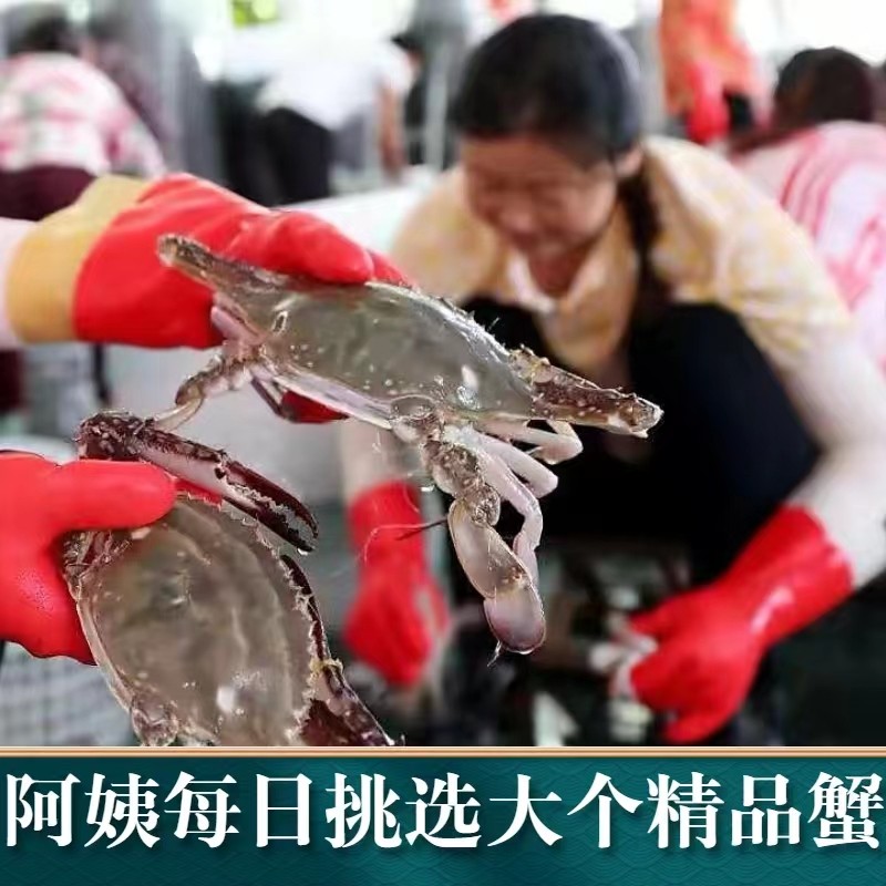 新鲜冷冻梭子蟹切蟹块肉蟹：如何挑选与享用这份海洋馈赠？