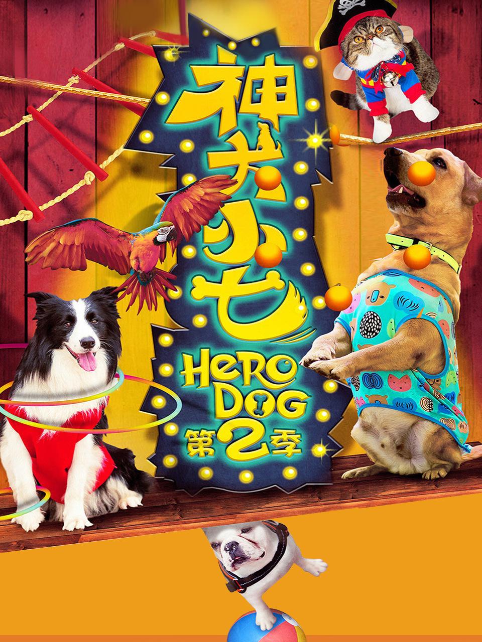神犬小七 2