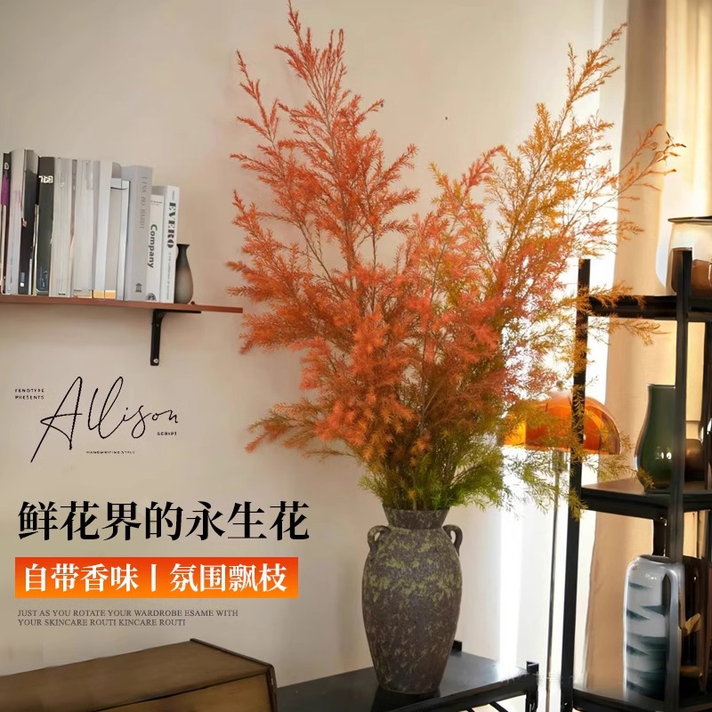【空运包邮】千层金鲜切枝：给你的生活添一抹永不凋零的绿意！