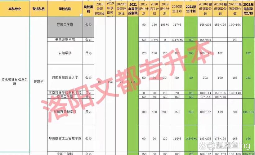 计算机应用女生多吗,女生占比现状与职业发展探讨