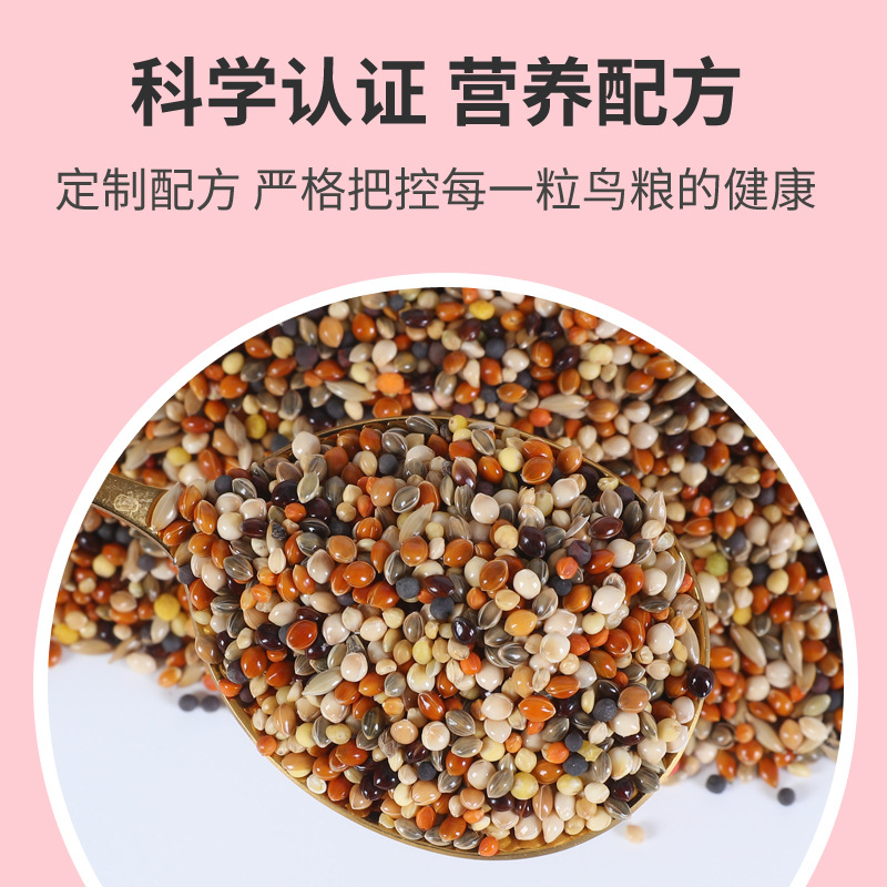 鹦鹉零食训练奖励专用！玄凤虎皮和尚鸟粮全攻略，养鸟人必看！