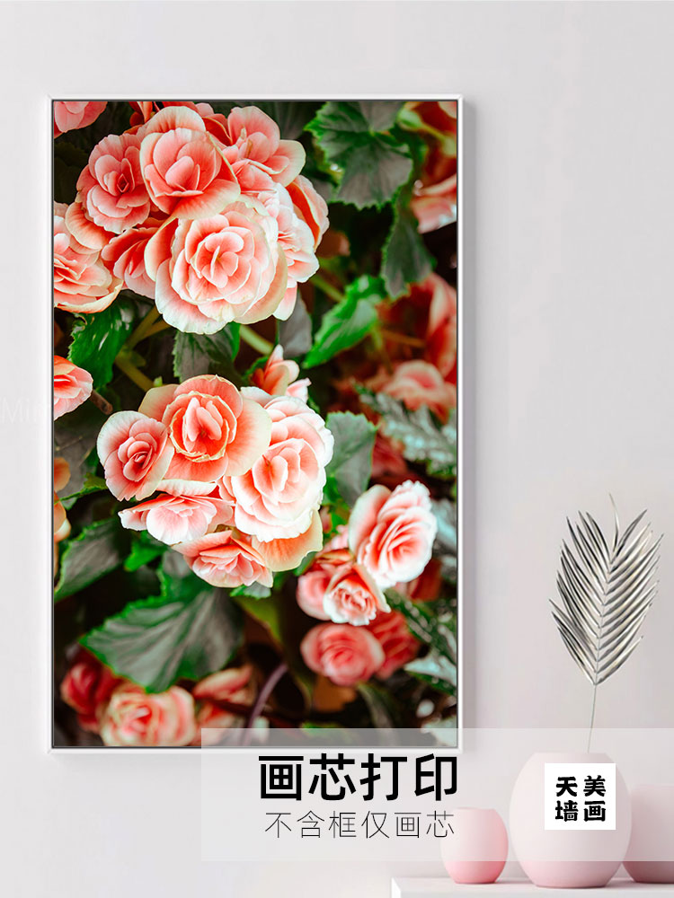 大朵浪漫玫瑰花贴纸：打造梦幻空间的秘密武器！