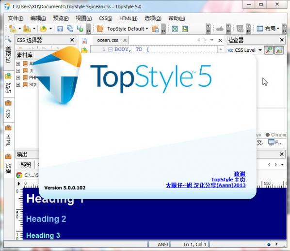 TopStyle Pro(CSS设计利器)v5.0.0.104中文版