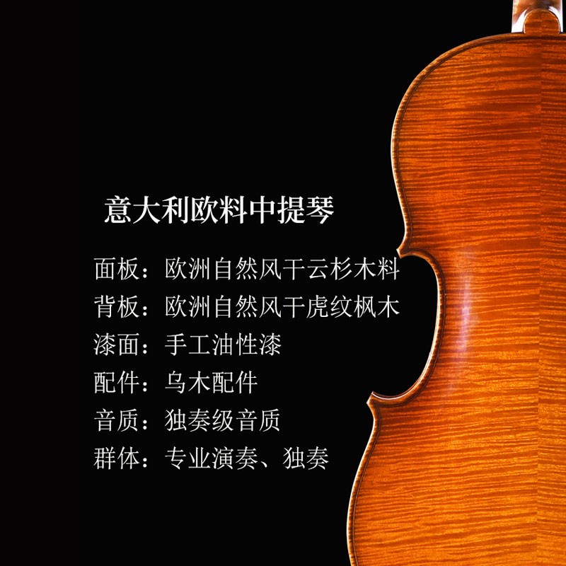 a5800台氏欧料手工中提琴：意大利云杉面板的专业演奏神器，你值得拥有！