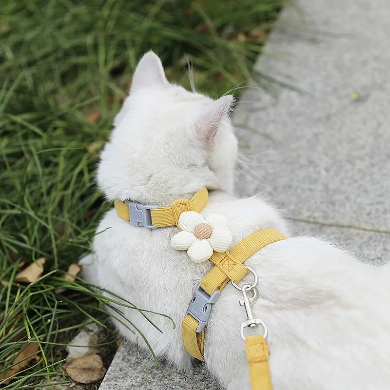 猫咪牵引绳：遛猫必备神器，让喵星人也能优雅出行！