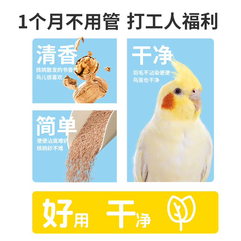 鹦鹉粪便垫料大揭秘：核桃砂、玉米芯，谁才是鸟笼清洁神器？
