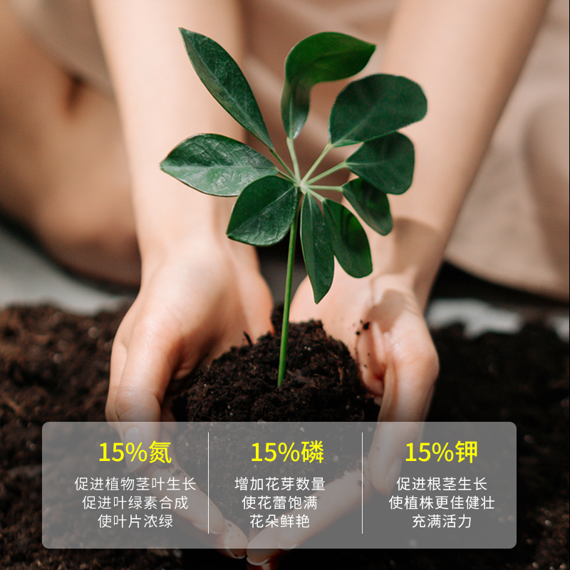 月季花肥料大揭秘：家用盆栽通用复合肥、有机肥、营养液、磷酸二氢钾，养花必备神器！