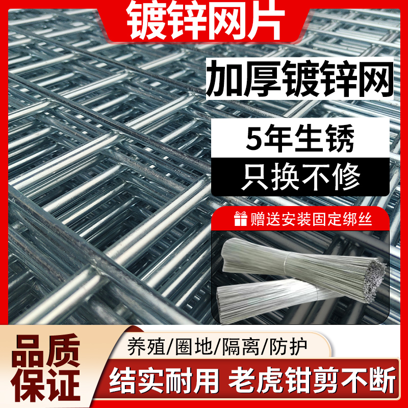 钢丝网片网格养殖网：守护家园，让安全与美观并存