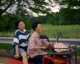영아의섬