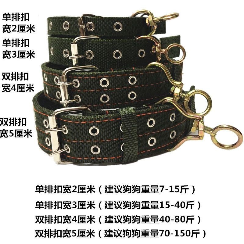 狗狗项圈新潮流，跨境新款宠物用品引领时尚