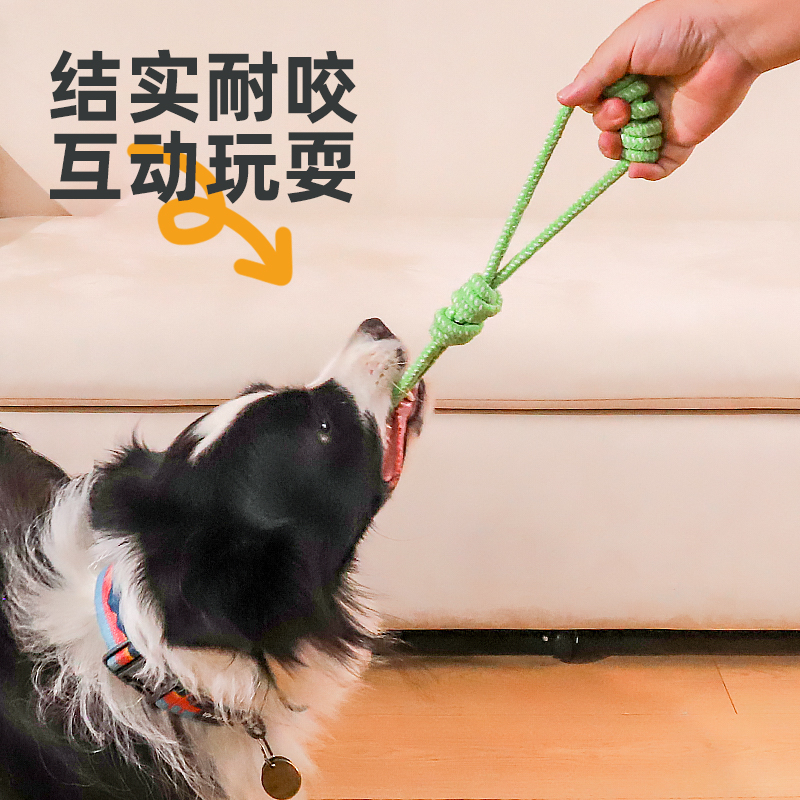 拉布拉多警长是哪个国家的动画片？揭秘它的诞生地