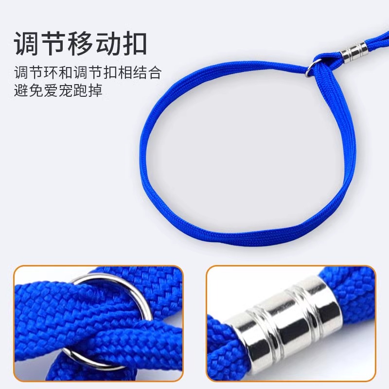 宠物手术台大揭秘：狗狗洁齿必备神器，不锈钢解剖猫清洁护理美容桌了解一下！
