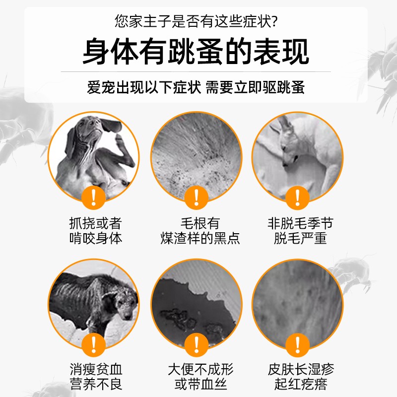 宠物驱虫新选择！安全可舔舐虱螨清跳蚤药喷雾，守护爱宠无忧！