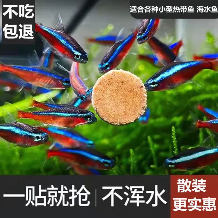 斗鱼直播平台上的回放功能是怎么样的？如何观看直播回放？
