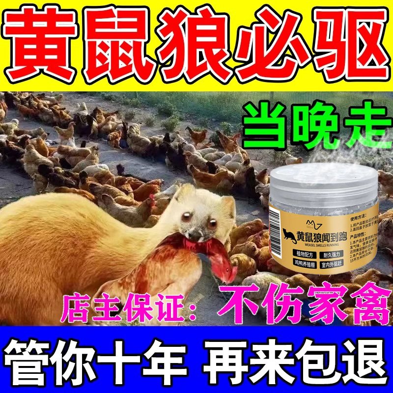 鸡舍臭味全消失？除臭黑科技喷淋塔+菌种太香了！养鸡人必看