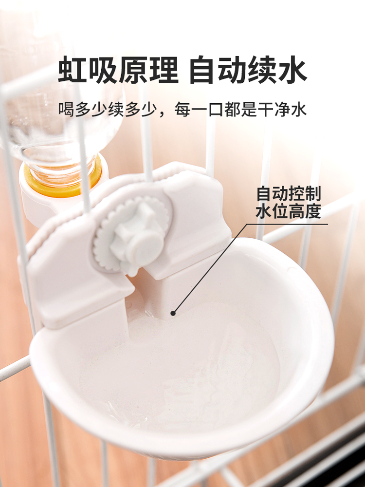 宠物自动挂式饮水器：龙猫、刺猬、兔子、荷兰猪的最佳喝水神器！