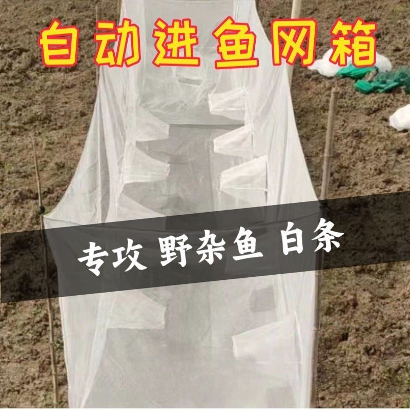 新款神器：野杂鱼捕捞专家，自动进鱼尼龙网箱鱼塘水库桩，轻松搞定！