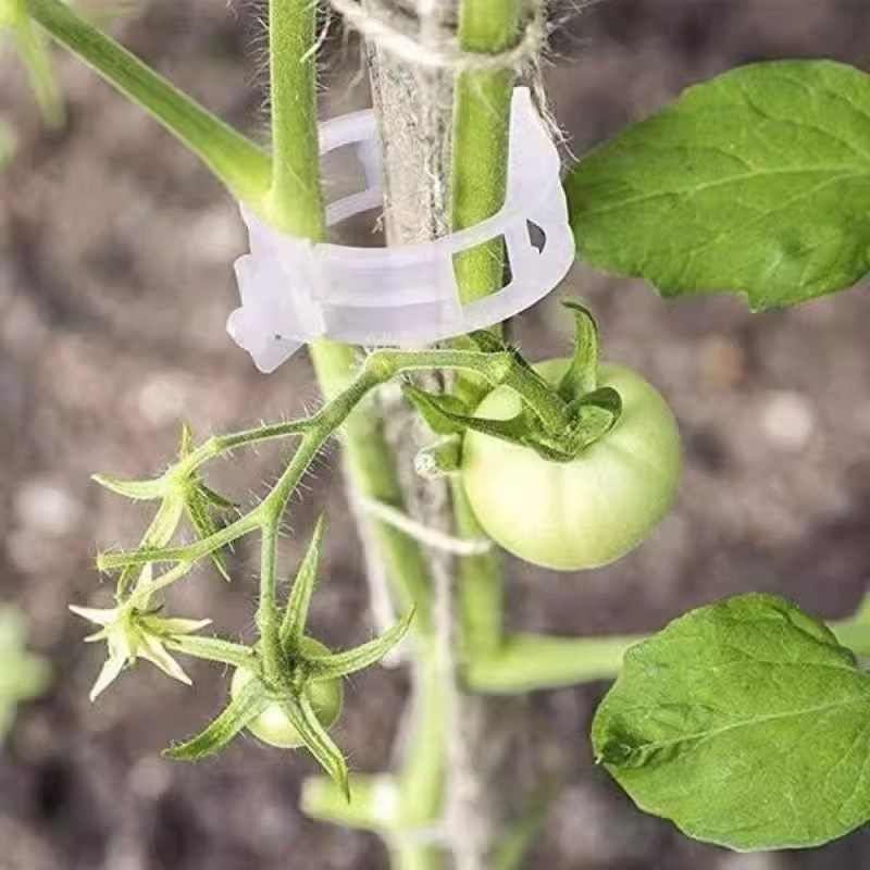黄瓜西红柿豆角爬藤枝条固定器：绿植蔬菜捆绑扎带藤蔓专用园林工具，种植达人必备神器！
