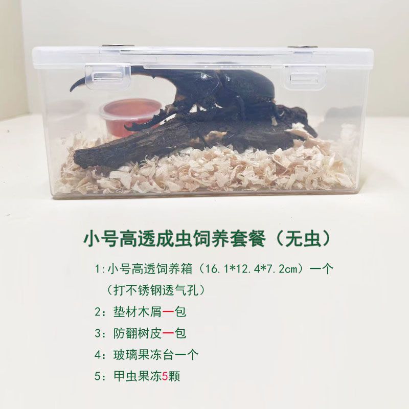 独角仙饲养盒套餐：亚克基昆虫蜗牛蜘蛛爬宠锹甲虫饲养箱，养宠新风尚！✨