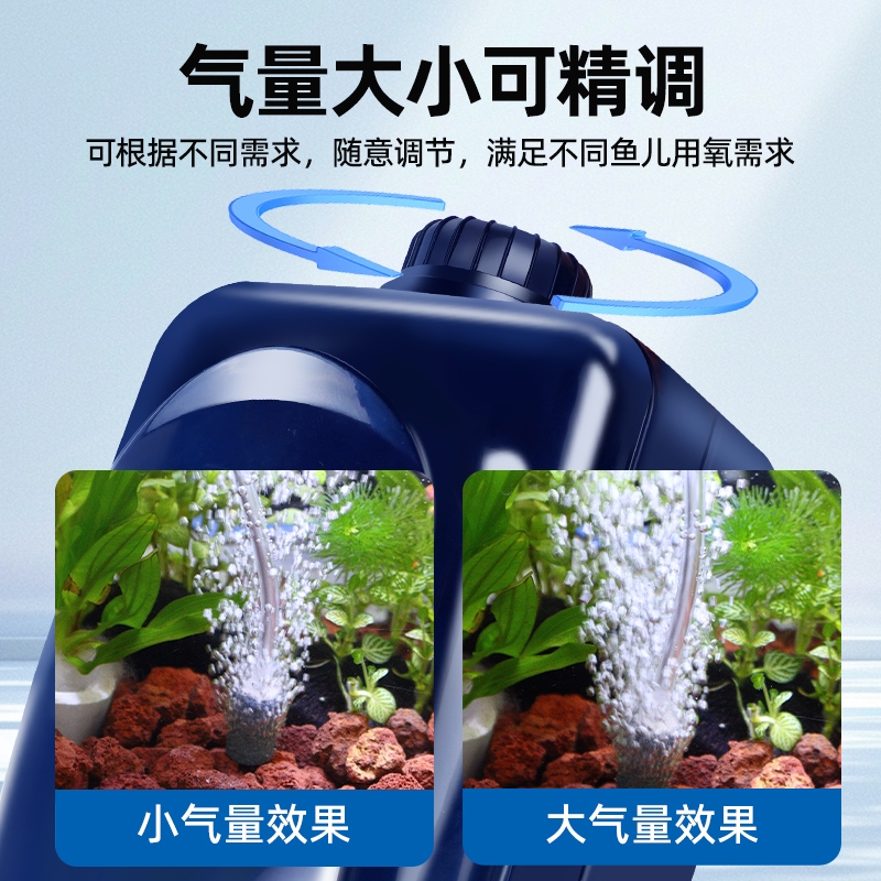 养虾增氧盘全套：解锁高产虾塘的秘密武器！