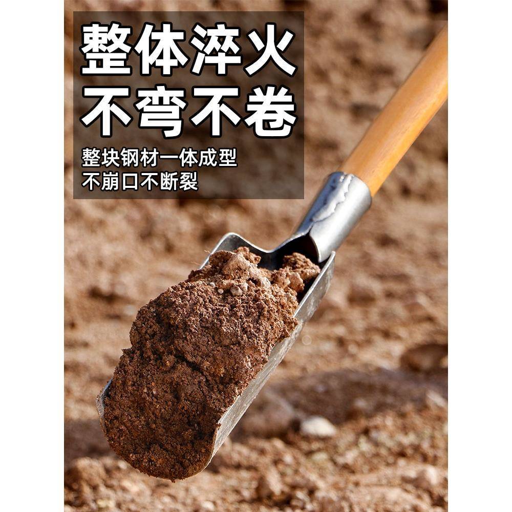 德国锰钢挖树铲 vs 洛阳铲：挖土神器大比拼，谁才是真正的挖坑王者？