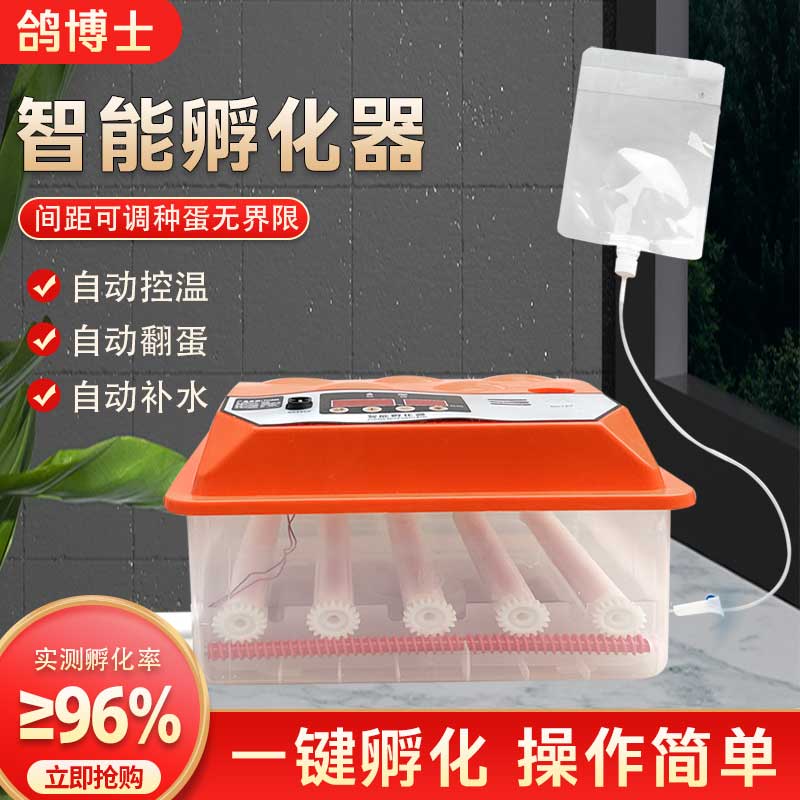 家用水床孵化箱真香！新手也能养出小鸡崽！孵化神器太绝了