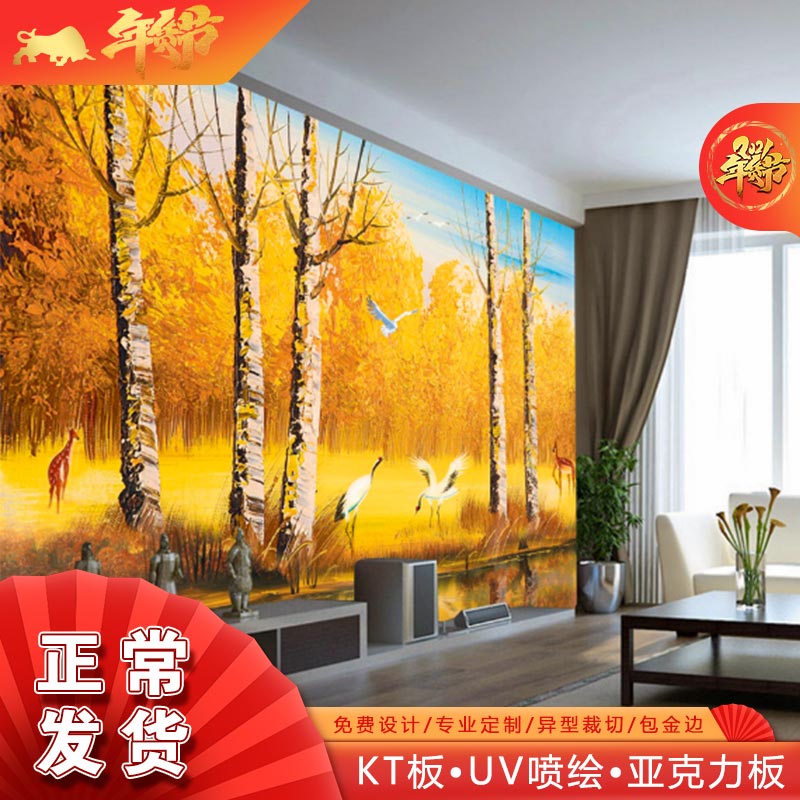 定制写真背胶车贴，点亮你的出行生活✨