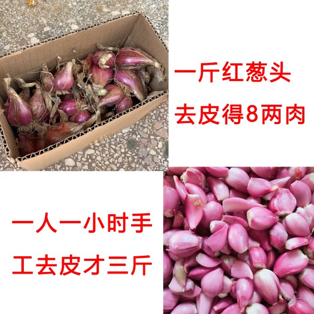 广东去皮红葱头：新鲜剥皮，纯手工，餐饮店香料新宠！️